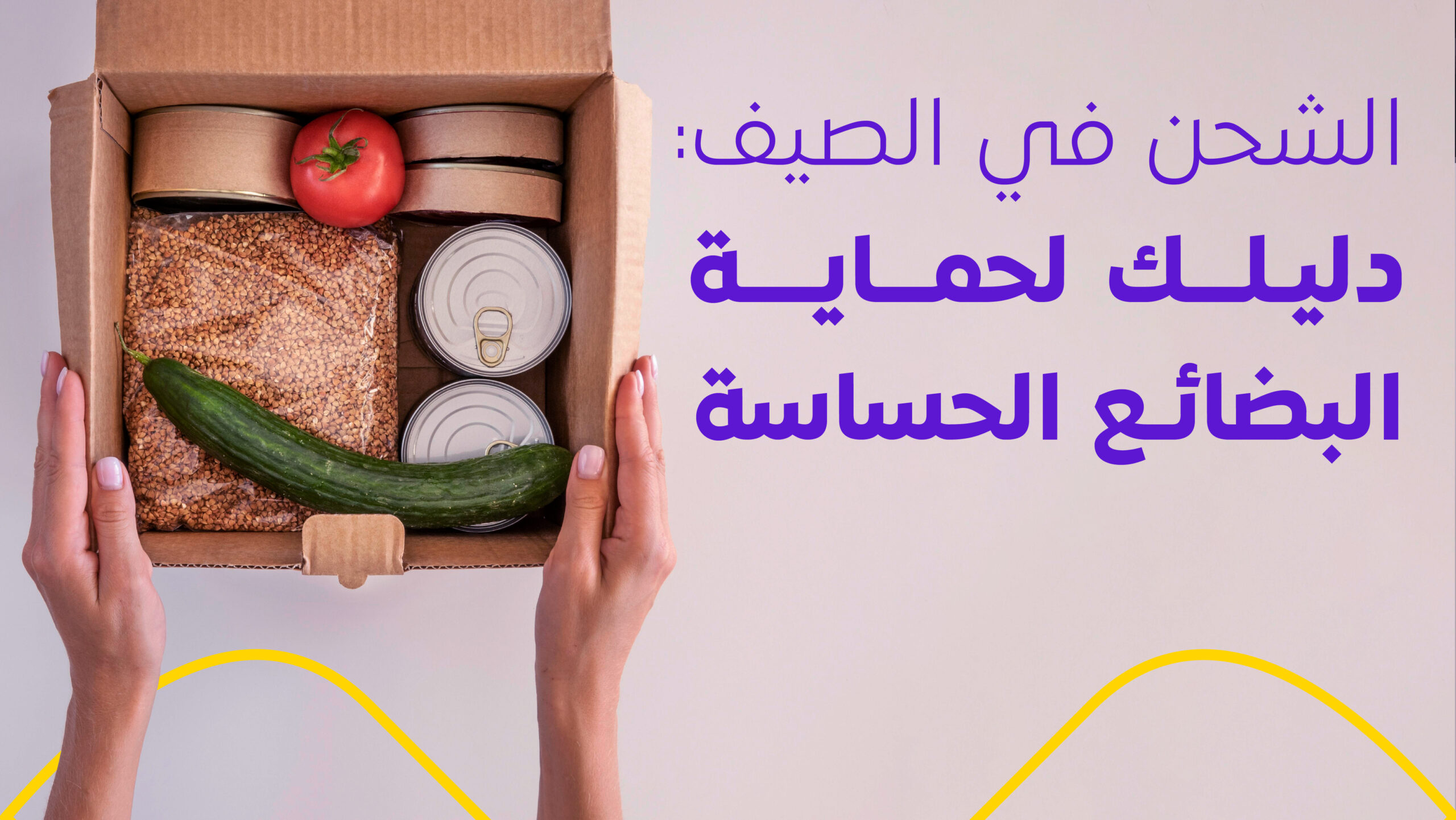 الشحن في الصيف: دليلك لحماية البضائع الحساسة الشحن في الصيف: دليلك لحماية البضائع الحساسة