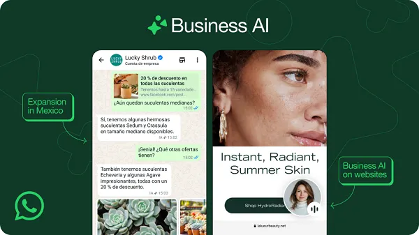Whats app ai conversions Whats app ai conversions